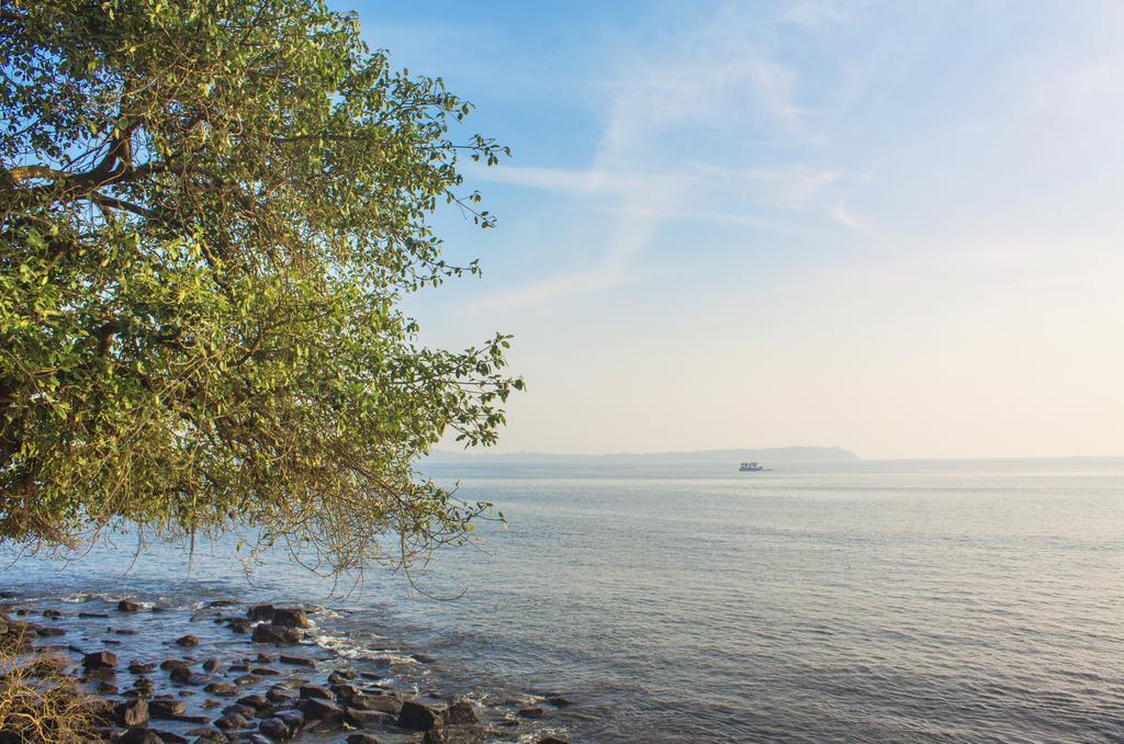 Готель Ahilya By The Sea Nerul  Екстер'єр фото